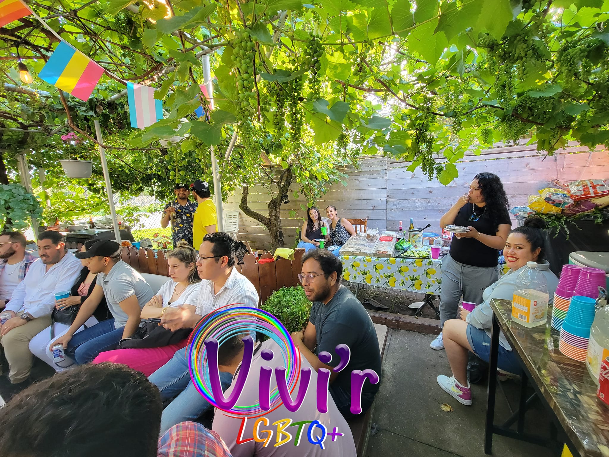 Backyard potluck with pride and trans flags